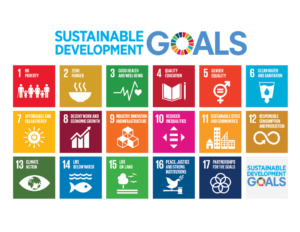 los objetivos de desarrollo sostenible de 2030