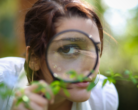 Consejo profesional de liderazgo: adopte una mentalidad curiosa