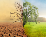 asociaciones y cambio climático